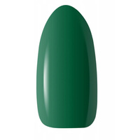 WARMIN' FALL 7 || Warmin' Fall