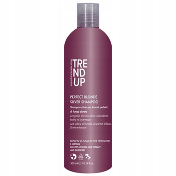 Trend Up Perfect Blond Silver Purple šampon pro blond vlasy 300 ml