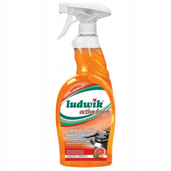 Ludwik Liquid na mastné povrchy 750ml