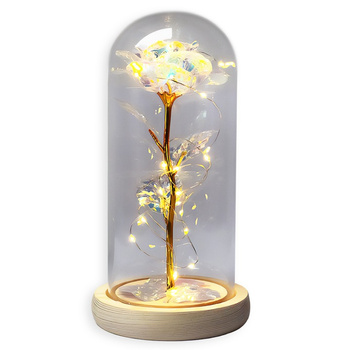 LED Crystal Eternal Rose in Glass dárek 02