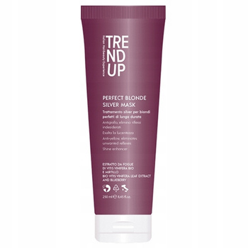 Trend Up Perfect Blond Silver Purple maska pro blond šedé vlasy 250 ml