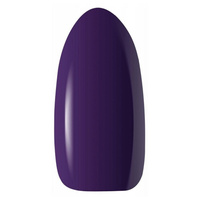 ZIMNÍ ŘÍŠE DIVŮ || Winter Wonderland 7