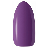 Warmin' Fall || WARMIN' FALL 5